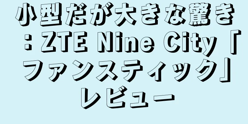 小型だが大きな驚き：ZTE Nine City「ファンスティック」レビュー