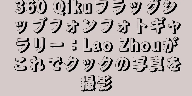 360 Qikuフラッグシップフォンフォトギャラリー：Lao Zhouがこれでクックの写真を撮影