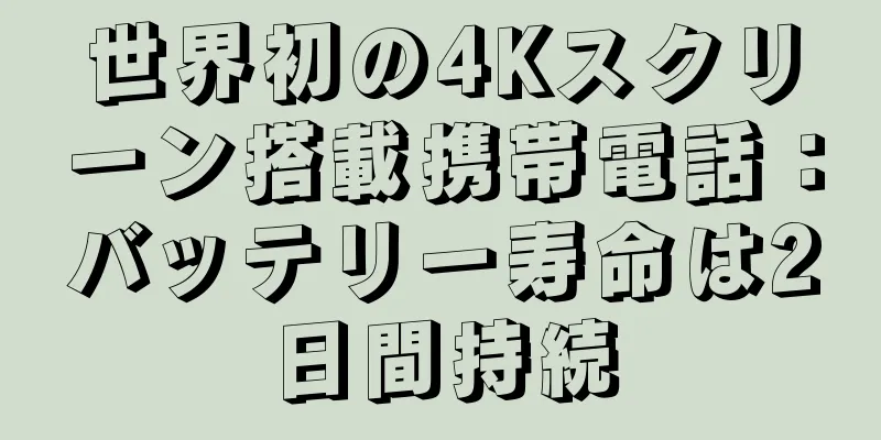 世界初の4Kスクリーン搭載携帯電話：バッテリー寿命は2日間持続