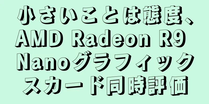 小さいことは態度、AMD Radeon R9 Nanoグラフィックスカード同時評価