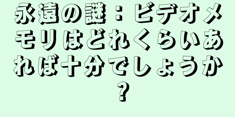 永遠の謎：ビデオメモリはどれくらいあれば十分でしょうか？