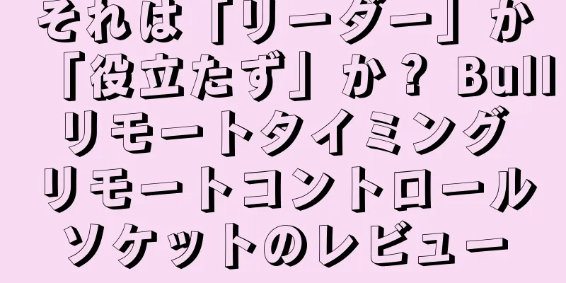 それは「リーダー」か「役立たず」か？ Bull リモートタイミング リモートコントロールソケットのレビュー