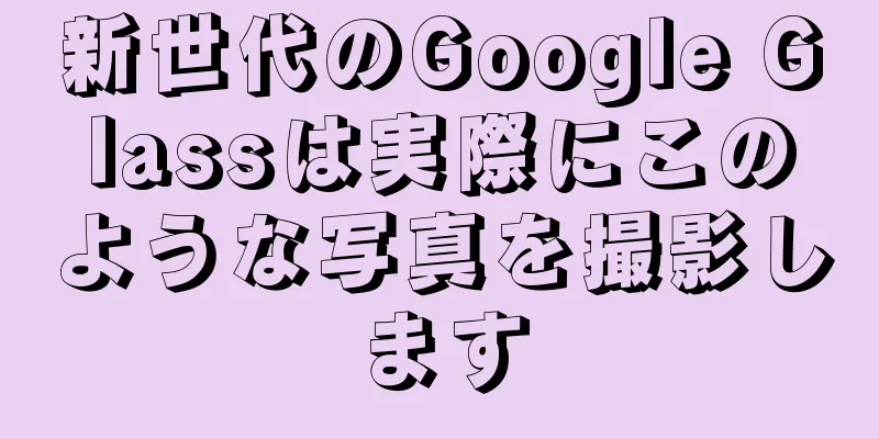 新世代のGoogle Glassは実際にこのような写真を撮影します