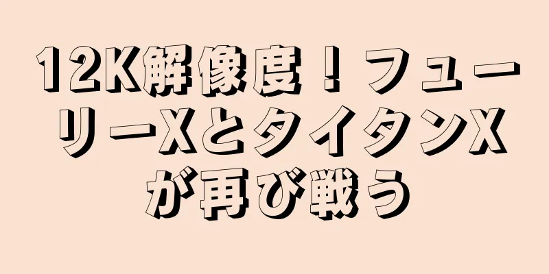 12K解像度！フューリーXとタイタンXが再び戦う