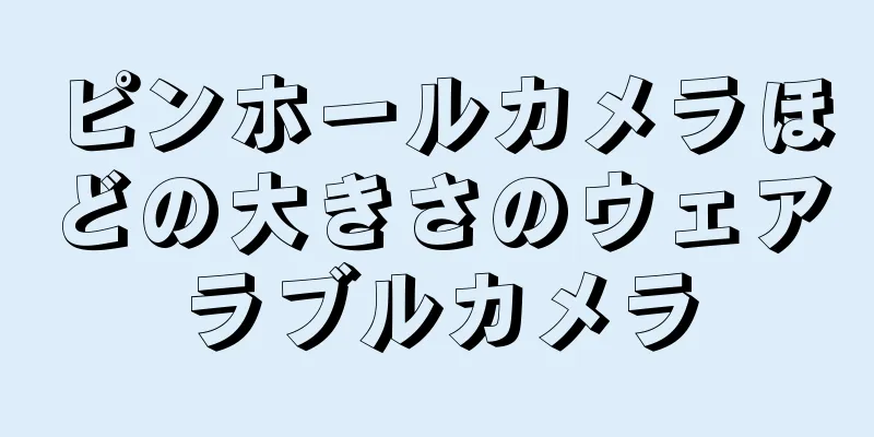 ピンホールカメラほどの大きさのウェアラブルカメラ