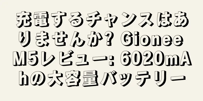 充電するチャンスはありませんか? Gionee M5レビュー: 6020mAhの大容量バッテリー