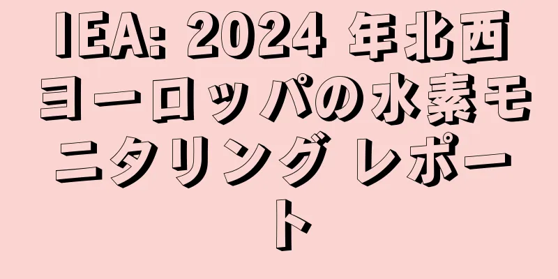 IEA: 2024 年北西ヨーロッパの水素モニタリング レポート