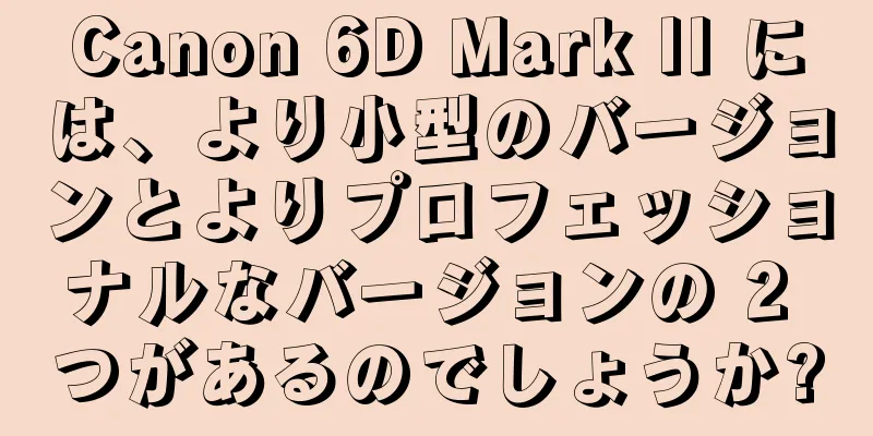 Canon 6D Mark II には、より小型のバージョンとよりプロフェッショナルなバージョンの 2 つがあるのでしょうか?