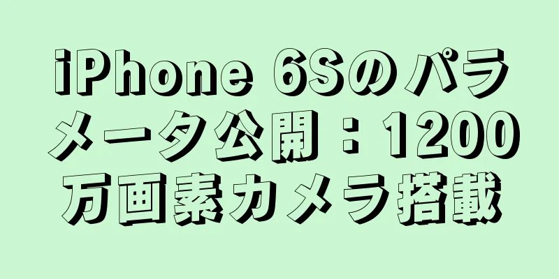 iPhone 6Sのパラメータ公開：1200万画素カメラ搭載