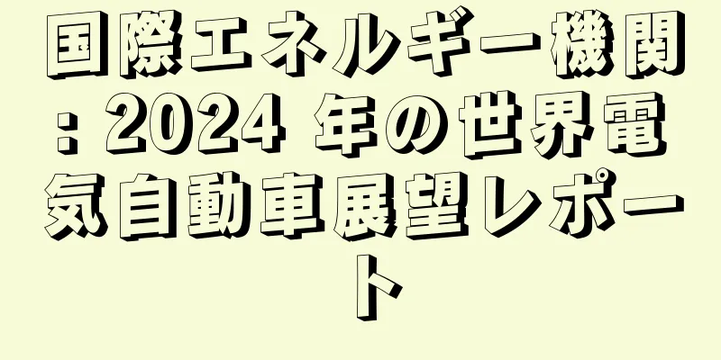 国際エネルギー機関: 2024 年の世界電気自動車展望レポート