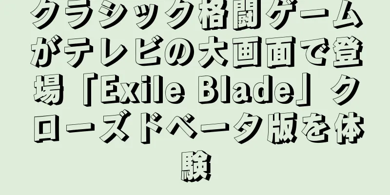 クラシック格闘ゲームがテレビの大画面で登場「Exile Blade」クローズドベータ版を体験