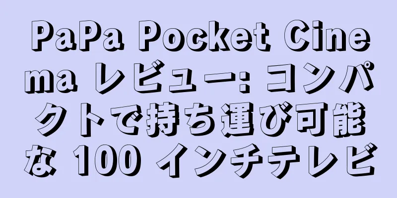 PaPa Pocket Cinema レビュー: コンパクトで持ち運び可能な 100 インチテレビ