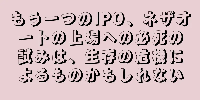 もう一つのIPO、ネザオートの上場への必死の試みは、生存の危機によるものかもしれない
