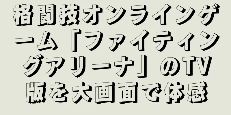 格闘技オンラインゲーム「ファイティングアリーナ」のTV版を大画面で体感