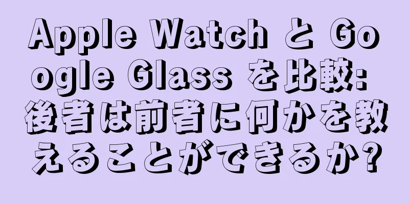 Apple Watch と Google Glass を比較: 後者は前者に何かを教えることができるか?