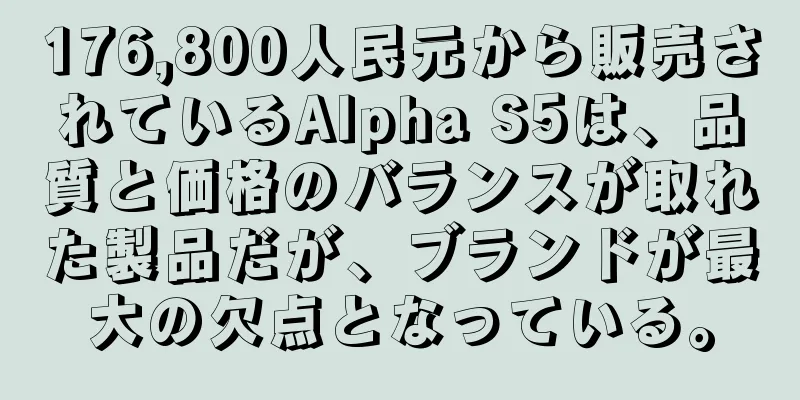 176,800人民元から販売されているAlpha S5は、品質と価格のバランスが取れた製品だが、ブランドが最大の欠点となっている。