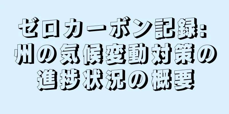 ゼロカーボン記録: 州の気候変動対策の進捗状況の概要