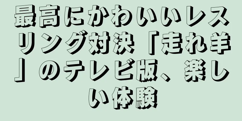 最高にかわいいレスリング対決「走れ羊」のテレビ版、楽しい体験
