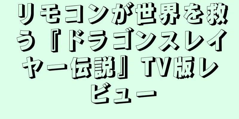 リモコンが世界を救う『ドラゴンスレイヤー伝説』TV版レビュー