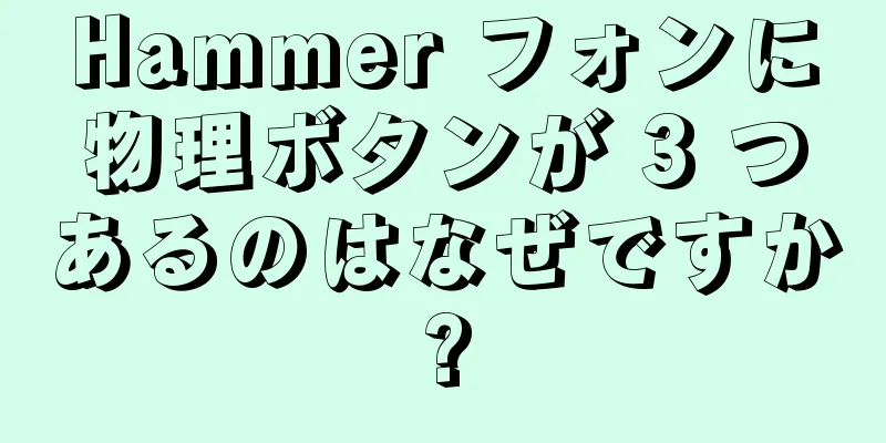 Hammer フォンに物理ボタンが 3 つあるのはなぜですか?