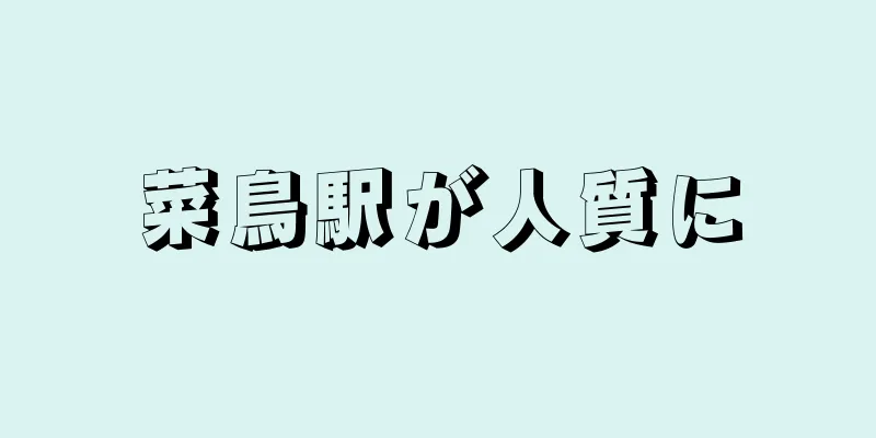 菜鳥駅が人質に