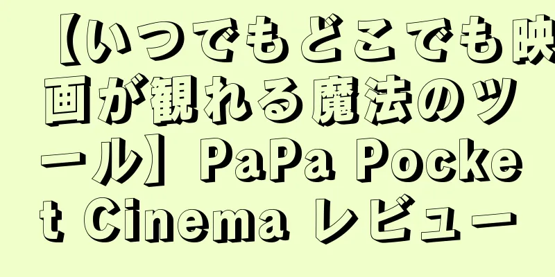 【いつでもどこでも映画が観れる魔法のツール】PaPa Pocket Cinema レビュー