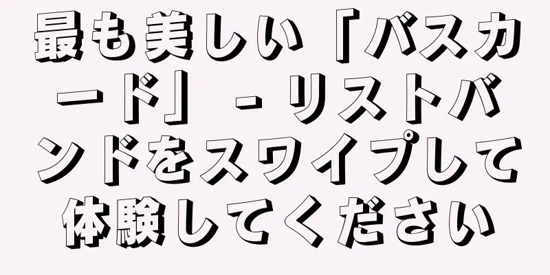 最も美しい「バスカード」 - リストバンドをスワイプして体験してください