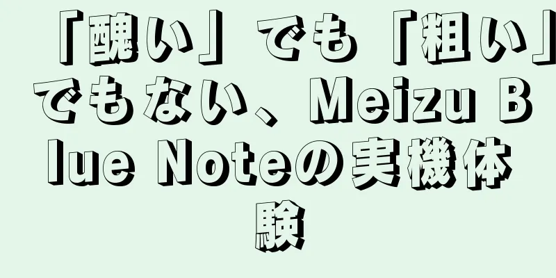 「醜い」でも「粗い」でもない、Meizu Blue Noteの実機体験