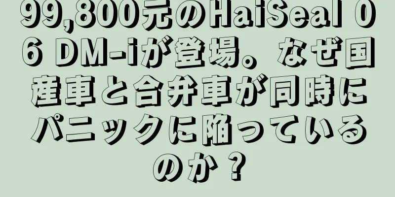 99,800元のHaiSeal 06 DM-iが登場。なぜ国産車と合弁車が同時にパニックに陥っているのか？