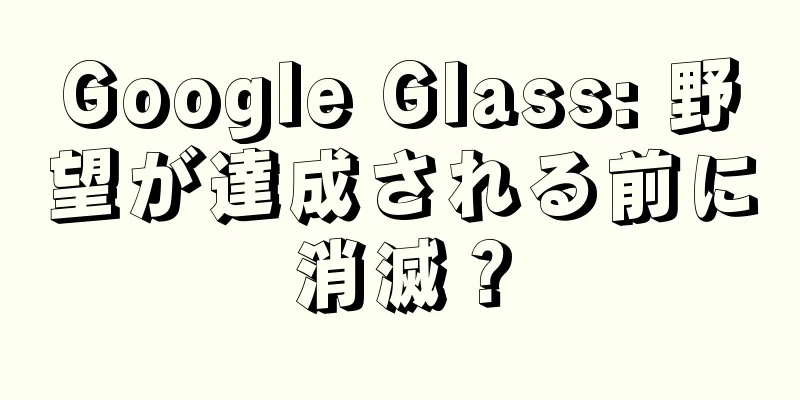 Google Glass: 野望が達成される前に消滅？