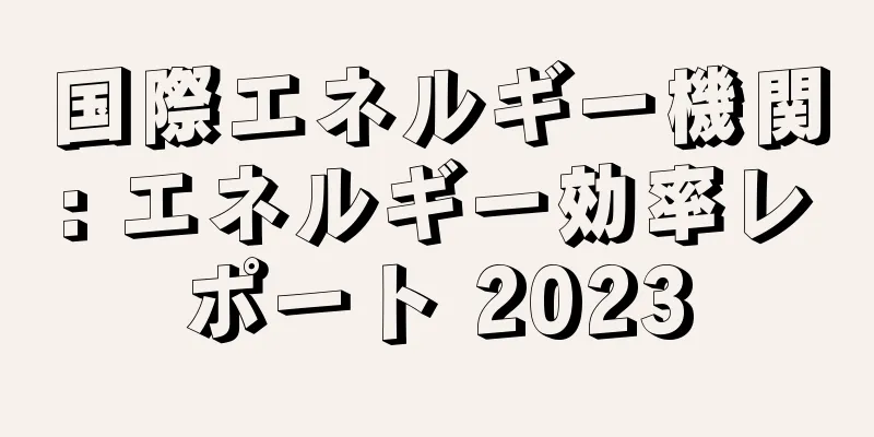 国際エネルギー機関: エネルギー効率レポート 2023
