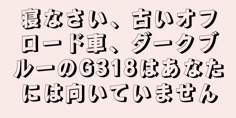 寝なさい、古いオフロード車、ダークブルーのG318はあなたには向いていません