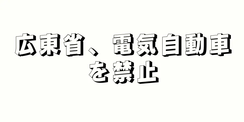 広東省、電気自動車を禁止