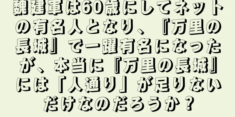 魏建軍は60歳にしてネットの有名人となり、『万里の長城』で一躍有名になったが、本当に『万里の長城』には「人通り」が足りないだけなのだろうか？