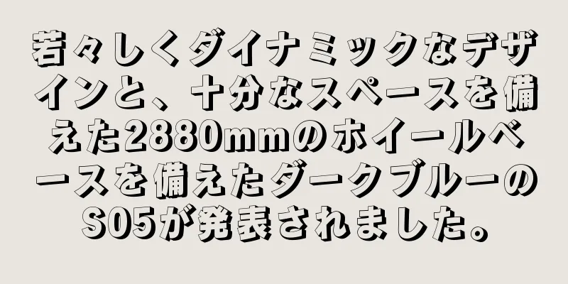 若々しくダイナミックなデザインと、十分なスペースを備えた2880mmのホイールベースを備えたダークブルーのS05が発表されました。