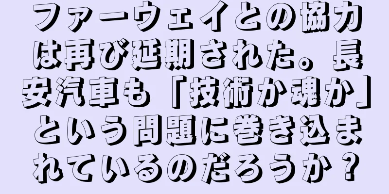 ファーウェイとの協力は再び延期された。長安汽車も「技術か魂か」という問題に巻き込まれているのだろうか？