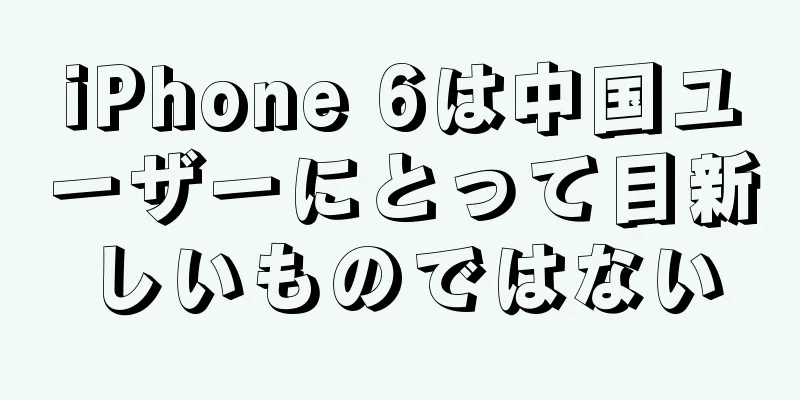 iPhone 6は中国ユーザーにとって目新しいものではない