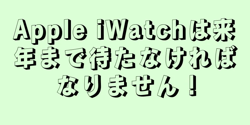 Apple iWatchは来年まで待たなければなりません！