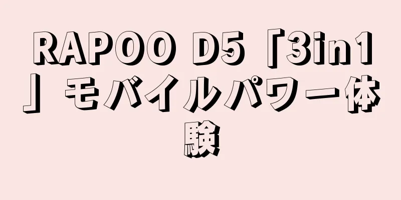 RAPOO D5「3in1」モバイルパワー体験