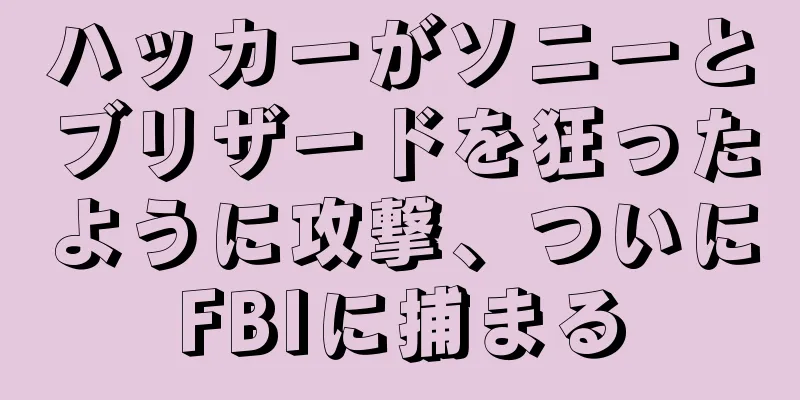 ハッカーがソニーとブリザードを狂ったように攻撃、ついにFBIに捕まる