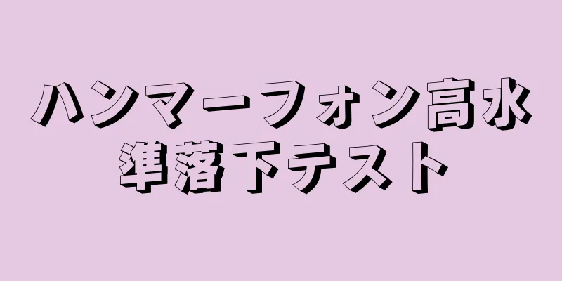 ハンマーフォン高水準落下テスト