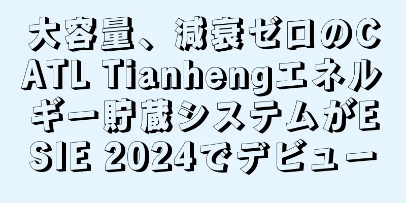 大容量、減衰ゼロのCATL Tianhengエネルギー貯蔵システムがESIE 2024でデビュー
