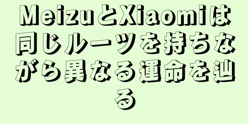 MeizuとXiaomiは同じルーツを持ちながら異なる運命を辿る