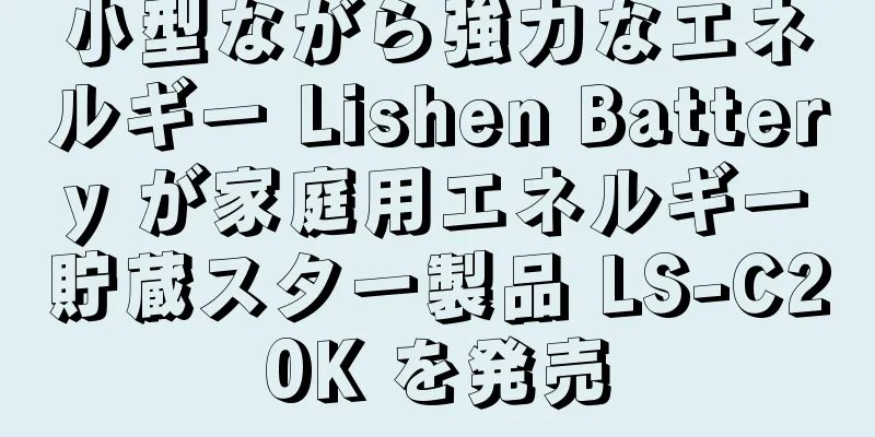 小型ながら強力なエネルギー Lishen Battery が家庭用エネルギー貯蔵スター製品 LS-C20K を発売