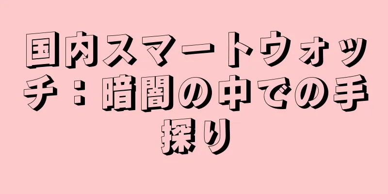 国内スマートウォッチ：暗闇の中での手探り