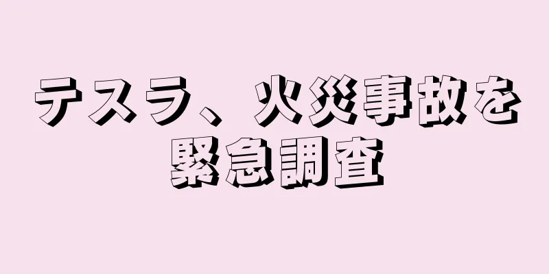 テスラ、火災事故を緊急調査