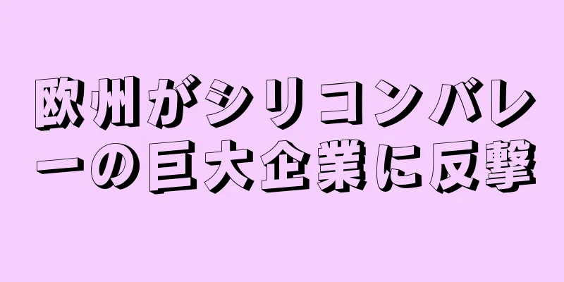 欧州がシリコンバレーの巨大企業に反撃