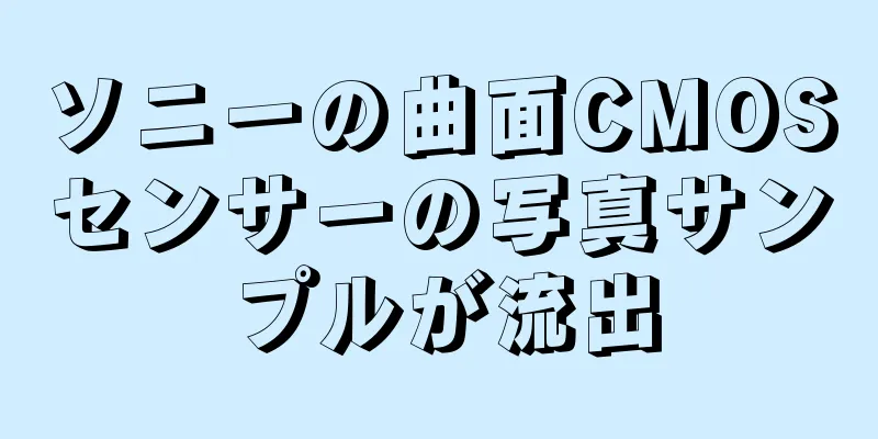 ソニーの曲面CMOSセンサーの写真サンプルが流出
