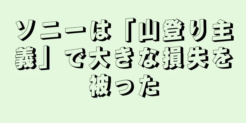 ソニーは「山登り主義」で大きな損失を被った