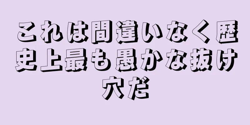 これは間違いなく歴史上最も愚かな抜け穴だ